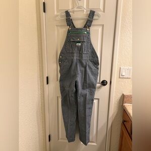 Striped Carpenter Overalls - Gray/White